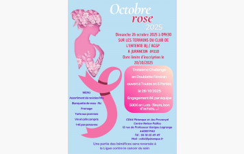3ième Challenge Octobre Rose
