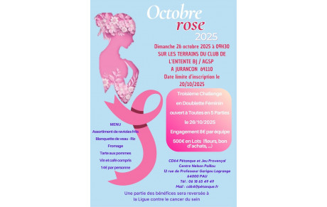 3ième Challenge Octobre Rose